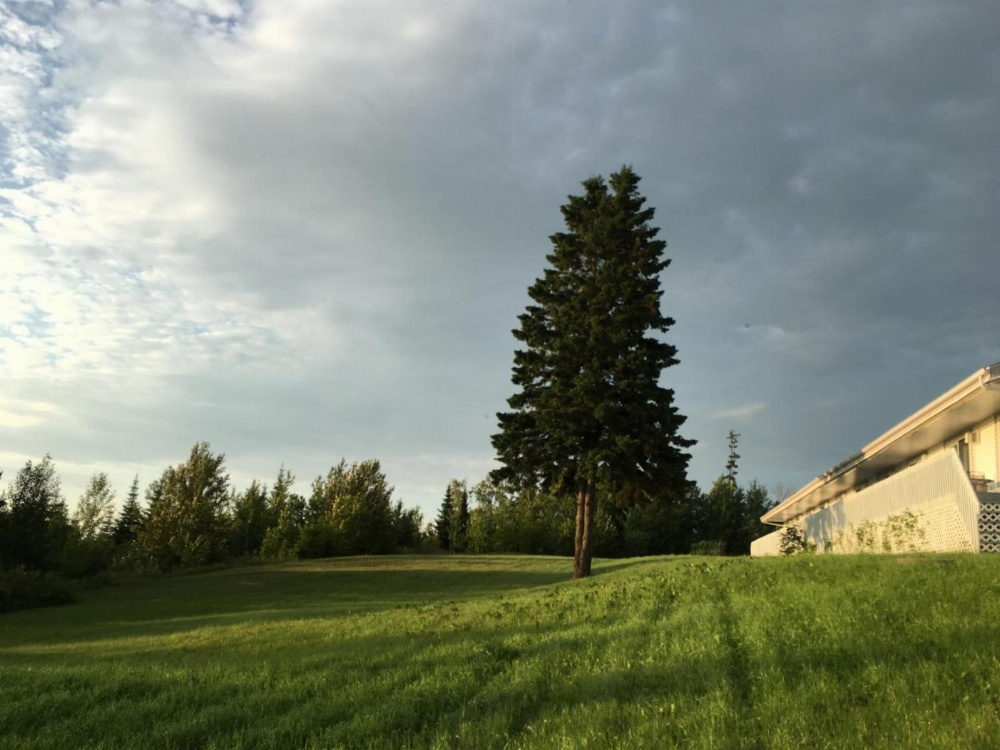 Auberge Motel Panorama Main image